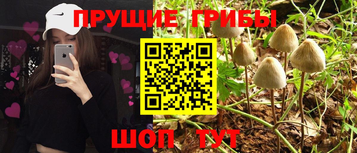 Галлюциногенные грибы MAGIC MUSHROOMS Тюмень