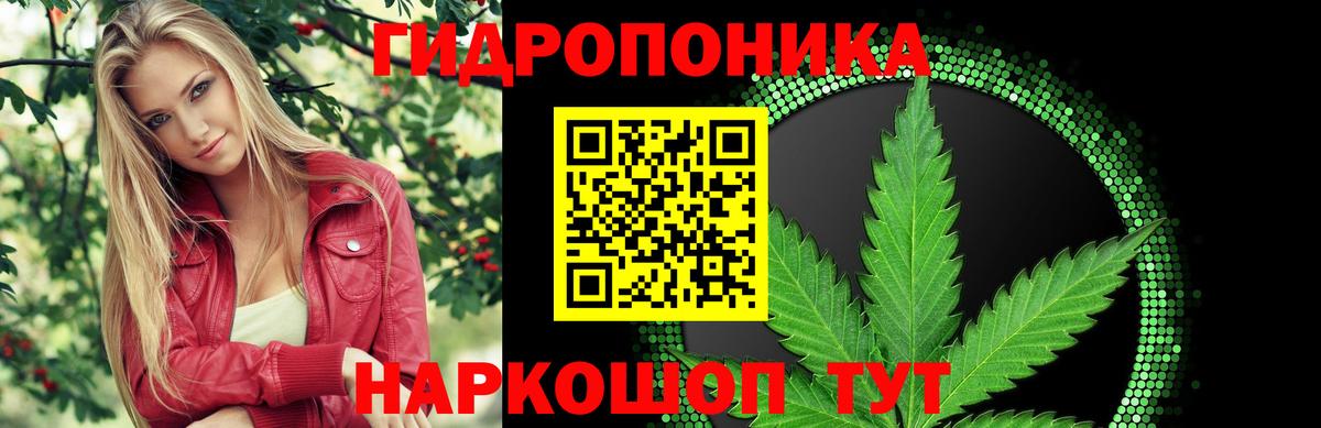 Шишки марихуана Bruce Banner  Бошки Шишки OG Kush  Марихуана Bruce Banner  Тюмень  Вход с VPN  Бошки Шишки гибрид 